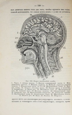 Морозов Н. Христос. Кн. 2. Силы земли и небес. Л.: Государственное издательство, 1926.